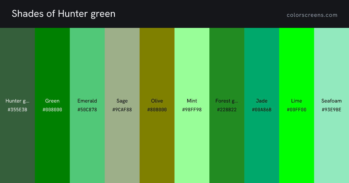 Shades of Hunter green: Hunter green #355E3B, Green #008000, Emerald #50C878, Sage #9CAF88, Olive #808000, Mint #98FF98, Forest green #228B22, Jade #00A86B, Lime #00FF00, Seafoam #93E9BE, ...
