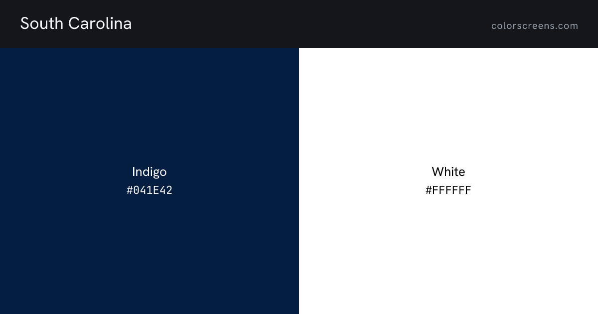 South Carolina flag colors: Indigo #041E42, White #FFFFFF